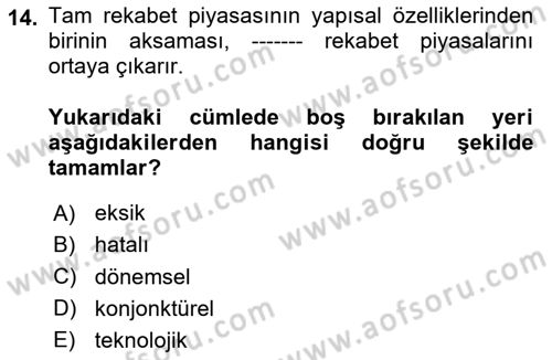 Kamu Ekonomisi 1 Dersi 2024 - 2025 Yılı (Final) Dönem Sonu Sınav Soruları 14. Soru