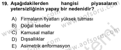 Kamu Ekonomisi 1 Dersi 2024 - 2025 Yılı (Final) Dönem Sonu Sınav Soruları 19. Soru