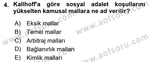 Kamu Ekonomisi 1 Dersi 2024 - 2025 Yılı (Final) Dönem Sonu Sınav Soruları 4. Soru