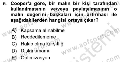Kamu Ekonomisi 1 Dersi 2024 - 2025 Yılı (Final) Dönem Sonu Sınav Soruları 5. Soru