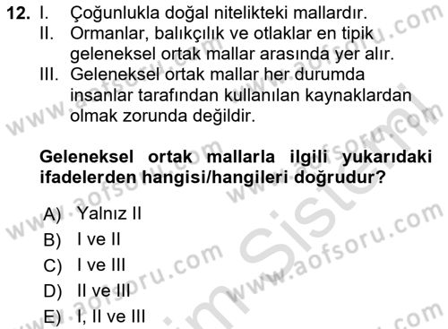 Kamu Ekonomisi 1 Dersi 2024 - 2025 Yılı Yaz Okulu Sınav Soruları 12. Soru