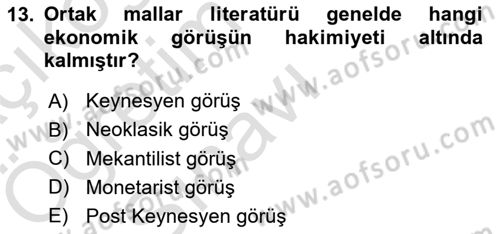 Kamu Ekonomisi 1 Dersi 2024 - 2025 Yılı Yaz Okulu Sınav Soruları 13. Soru