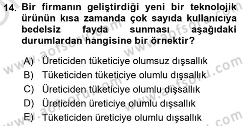 Kamu Ekonomisi 1 Dersi 2024 - 2025 Yılı Yaz Okulu Sınav Soruları 14. Soru
