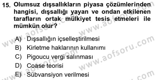 Kamu Ekonomisi 1 Dersi 2024 - 2025 Yılı Yaz Okulu Sınav Soruları 15. Soru