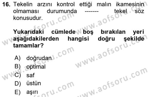 Kamu Ekonomisi 1 Dersi 2024 - 2025 Yılı Yaz Okulu Sınav Soruları 16. Soru