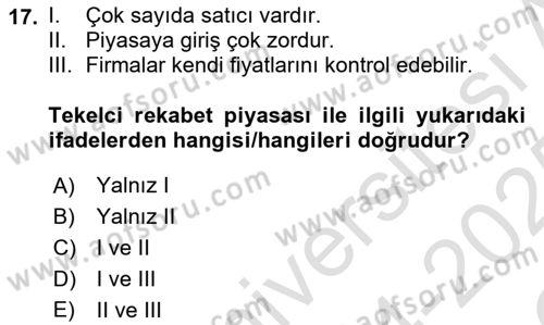 Kamu Ekonomisi 1 Dersi 2024 - 2025 Yılı Yaz Okulu Sınav Soruları 17. Soru