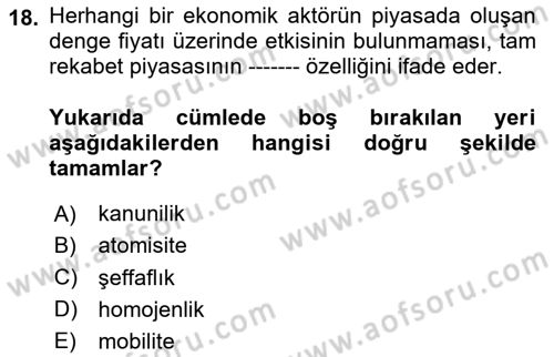 Kamu Ekonomisi 1 Dersi 2024 - 2025 Yılı Yaz Okulu Sınav Soruları 18. Soru