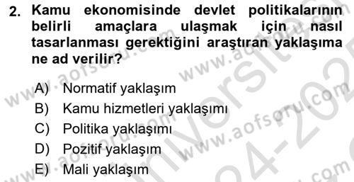 Kamu Ekonomisi 1 Dersi 2024 - 2025 Yılı Yaz Okulu Sınav Soruları 2. Soru
