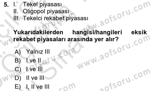 Kamu Ekonomisi 1 Dersi 2024 - 2025 Yılı Yaz Okulu Sınav Soruları 5. Soru