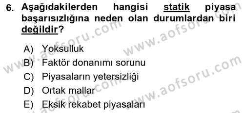 Kamu Ekonomisi 1 Dersi 2024 - 2025 Yılı Yaz Okulu Sınav Soruları 6. Soru