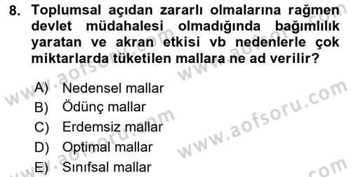 Kamu Ekonomisi 1 Dersi 2024 - 2025 Yılı Yaz Okulu Sınav Soruları 8. Soru