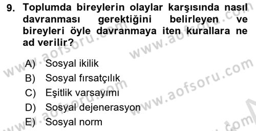 Kamu Ekonomisi 1 Dersi 2024 - 2025 Yılı Yaz Okulu Sınav Soruları 9. Soru
