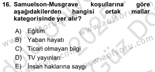 Kamu Ekonomisi 1 Dersi 2025 - 2026 Yılı (Vize) Ara Sınav Soruları 16. Soru