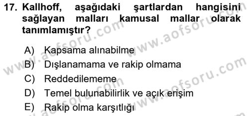 Kamu Ekonomisi 1 Dersi 2025 - 2026 Yılı (Vize) Ara Sınav Soruları 17. Soru
