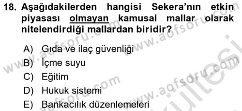 Kamu Ekonomisi 1 Dersi 2025 - 2026 Yılı (Vize) Ara Sınav Soruları 18. Soru
