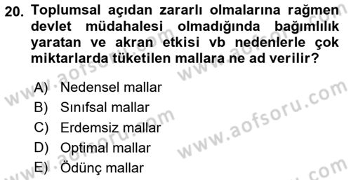 Kamu Ekonomisi 1 Dersi 2025 - 2026 Yılı (Vize) Ara Sınav Soruları 20. Soru