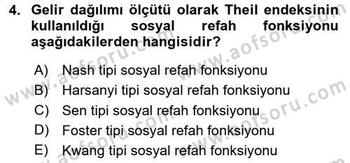 Kamu Ekonomisi 1 Dersi 2025 - 2026 Yılı (Vize) Ara Sınav Soruları 4. Soru