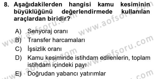 Kamu Ekonomisi 1 Dersi 2025 - 2026 Yılı (Vize) Ara Sınav Soruları 8. Soru