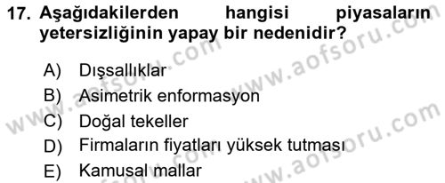 Kamu Ekonomisi 1 Dersi 2025 - 2026 Yılı (Final) Dönem Sonu Sınav Soruları 17. Soru