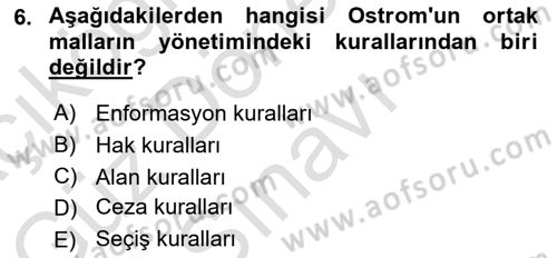 Kamu Ekonomisi 1 Dersi 2025 - 2026 Yılı (Final) Dönem Sonu Sınav Soruları 6. Soru