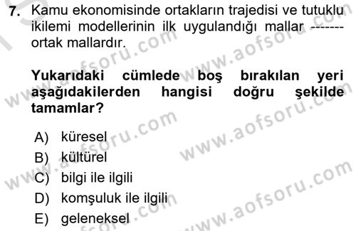 Kamu Ekonomisi 1 Dersi 2025 - 2026 Yılı (Final) Dönem Sonu Sınav Soruları 7. Soru