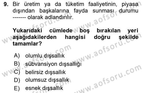 Kamu Ekonomisi 1 Dersi 2025 - 2026 Yılı (Final) Dönem Sonu Sınav Soruları 9. Soru