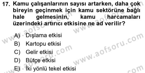 Kamu Ekonomisi 2 Dersi 2016 - 2017 Yılı (Vize) Ara Sınavı 17. Soru