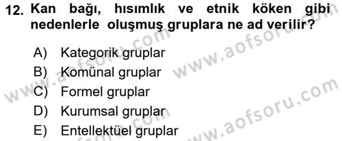 Kamu Ekonomisi 2 Dersi 2017 - 2018 Yılı 3 Ders Sınav Soruları 12. Soru