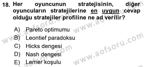 Kamu Ekonomisi 2 Dersi 2018 - 2019 Yılı 3 Ders Sınav Soruları 18. Soru