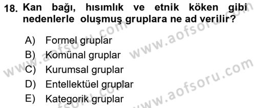 Kamu Ekonomisi 2 Dersi 2018 - 2019 Yılı (Vize) Ara Sınav Soruları 18. Soru