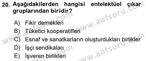 Kamu Ekonomisi 2 Dersi 2018 - 2019 Yılı (Vize) Ara Sınav Soruları 20. Soru