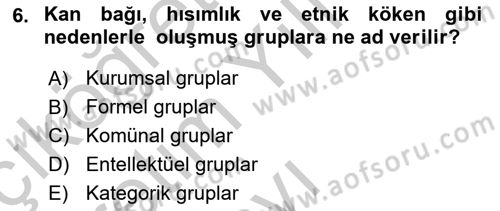 Kamu Ekonomisi 2 Dersi 2018 - 2019 Yılı Yaz Okulu Sınav Soruları 6. Soru