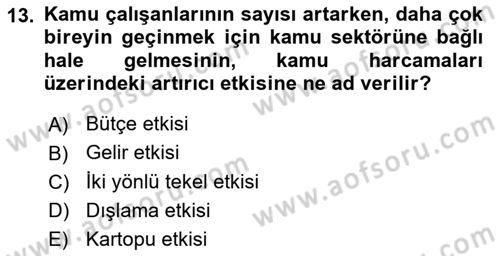 Kamu Ekonomisi 2 Dersi 2023 - 2024 Yılı (Vize) Ara Sınavı 13. Soru