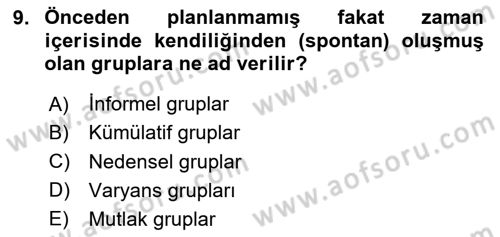 Kamu Ekonomisi 2 Dersi 2023 - 2024 Yılı Yaz Okulu Sınav Soruları 9. Soru