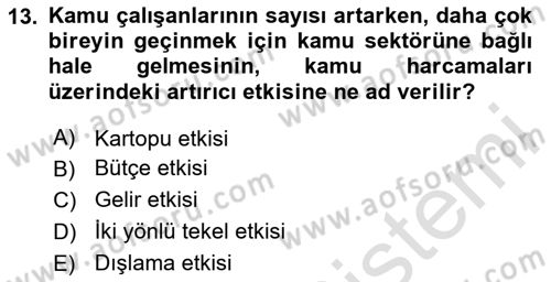 Kamu Ekonomisi 2 Dersi 2024 - 2025 Yılı (Vize) Ara Sınav Soruları 13. Soru