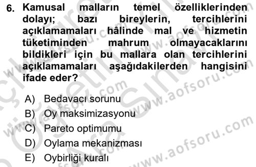 Kamu Ekonomisi 2 Dersi 2024 - 2025 Yılı (Vize) Ara Sınav Soruları 6. Soru