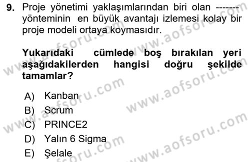 Sosyal Bilimlerde Proje Yönetimi Dersi 2023 - 2024 Yılı (Vize) Ara Sınav Soruları 9. Soru