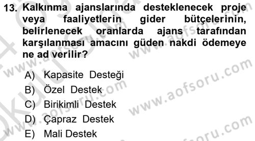 Sosyal Bilimlerde Proje Yönetimi Dersi 2023 - 2024 Yılı Yaz Okulu Sınav Soruları 13. Soru