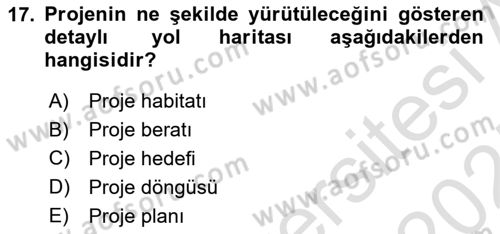 Sosyal Bilimlerde Proje Yönetimi Dersi 2024 - 2025 Yılı (Vize) Ara Sınav Soruları 17. Soru