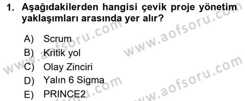 Sosyal Bilimlerde Proje Yönetimi Dersi 2024 - 2025 Yılı Yaz Okulu Sınav Soruları 1. Soru