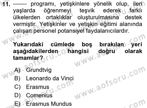 Sosyal Bilimlerde Proje Yönetimi Dersi 2024 - 2025 Yılı Yaz Okulu Sınav Soruları 11. Soru