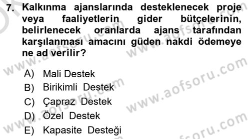 Sosyal Bilimlerde Proje Yönetimi Dersi 2024 - 2025 Yılı Yaz Okulu Sınav Soruları 7. Soru