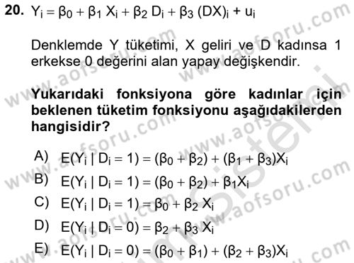 Ekonometrinin temelleri Dersi 2020 - 2021 Yılı Yaz Okulu Sınav Soruları 20. Soru