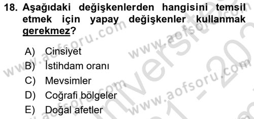 Ekonometrinin temelleri Dersi 2021 - 2022 Yılı (Final) Dönem Sonu Sınav Soruları 18. Soru