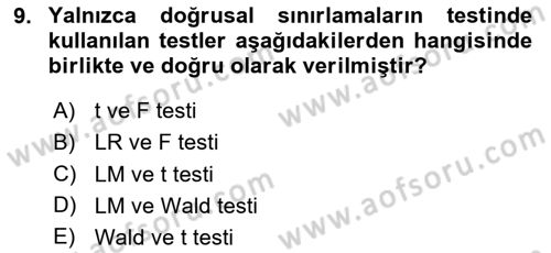Ekonometrinin temelleri Dersi 2023 - 2024 Yılı (Vize) Ara Sınav Soruları 9. Soru