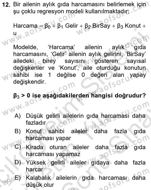 Ekonometrinin temelleri Dersi 2023 - 2024 Yılı (Final) Dönem Sonu Sınav Soruları 12. Soru