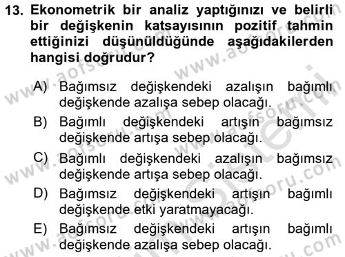 Ekonometrinin temelleri Dersi 2023 - 2024 Yılı Yaz Okulu Sınav Soruları 13. Soru