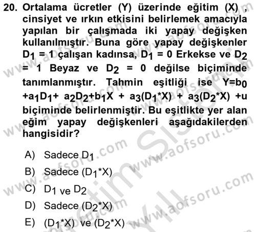 Ekonometrinin temelleri Dersi 2023 - 2024 Yılı Yaz Okulu Sınav Soruları 20. Soru