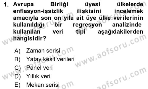 Ekonometrinin temelleri Dersi 2024 - 2025 Yılı (Vize) Ara Sınav Soruları 1. Soru