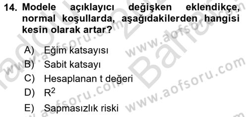 Ekonometrinin temelleri Dersi 2024 - 2025 Yılı (Vize) Ara Sınav Soruları 14. Soru